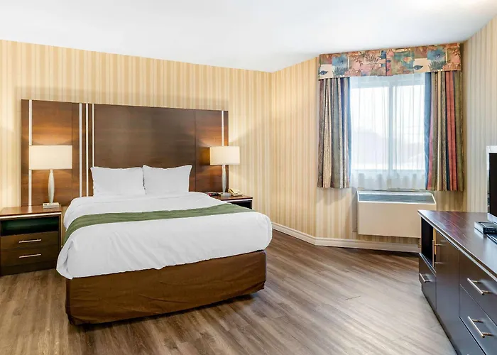 Quality Hotel & Suites